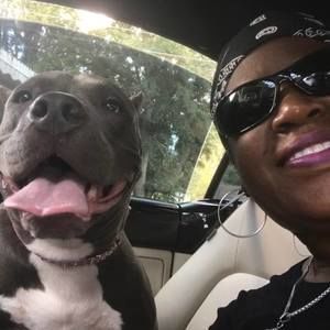 Meet your Posher, Pat